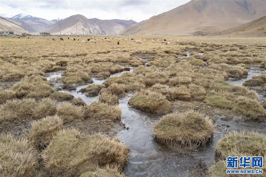 （2020珠峰高程測(cè)量）（3）珠峰自然保護(hù)區(qū)生物多樣性得到有效保護(hù)