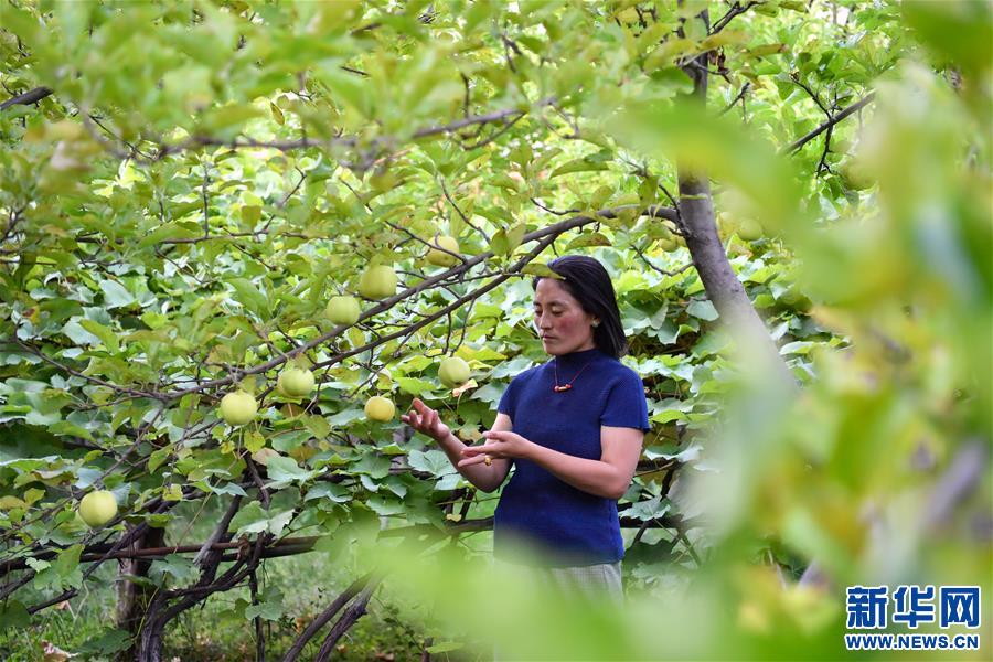 （決戰(zhàn)決勝脫貧攻堅(jiān)·圖文互動(dòng)）（2）從賣菜“小保姆”到農(nóng)家樂(lè)“老板”——其美拉姆的創(chuàng)業(yè)路