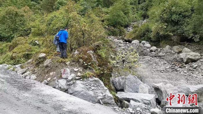 圖為折萼杜鵑被嚴(yán)重干擾的生境。　中科院昆明植物研究所提供