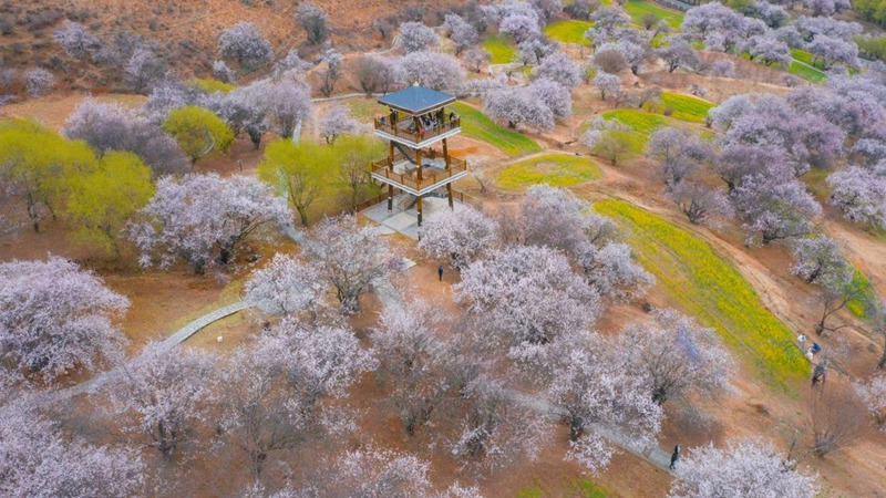 林芝嘎拉村。 張靜攝