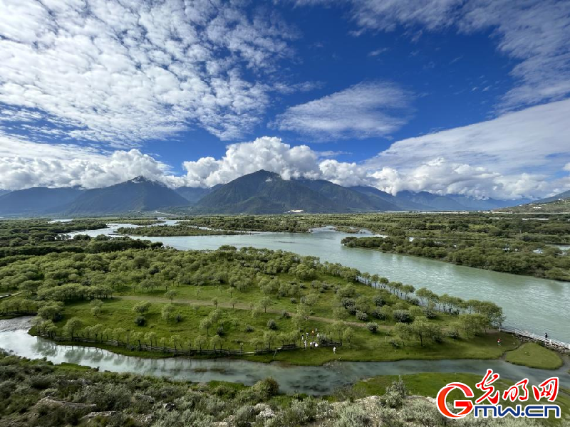 我們的家園丨雅尼國(guó)家濕地公園：荒草灘“換裝”綠水青山 生態(tài)游送來“金山銀山”