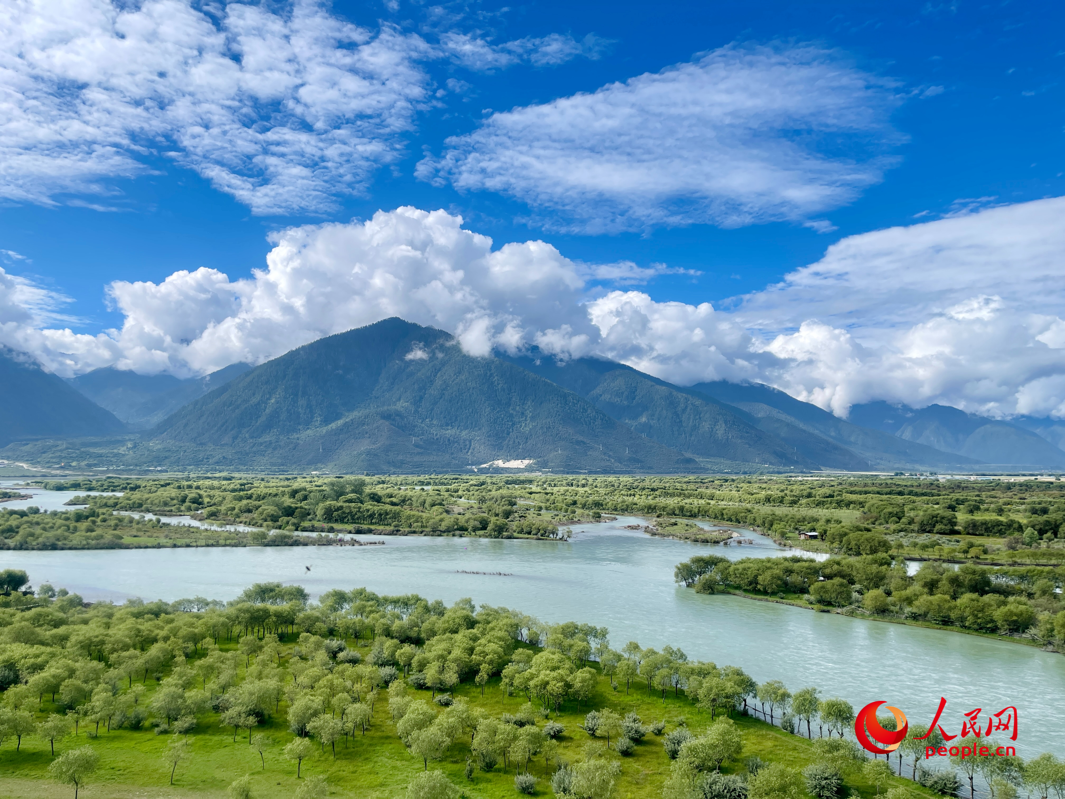 夏日的雅尼國(guó)家濕地公園生機(jī)盎然，如詩(shī)如畫(huà)。人民網(wǎng) 周靜圓攝