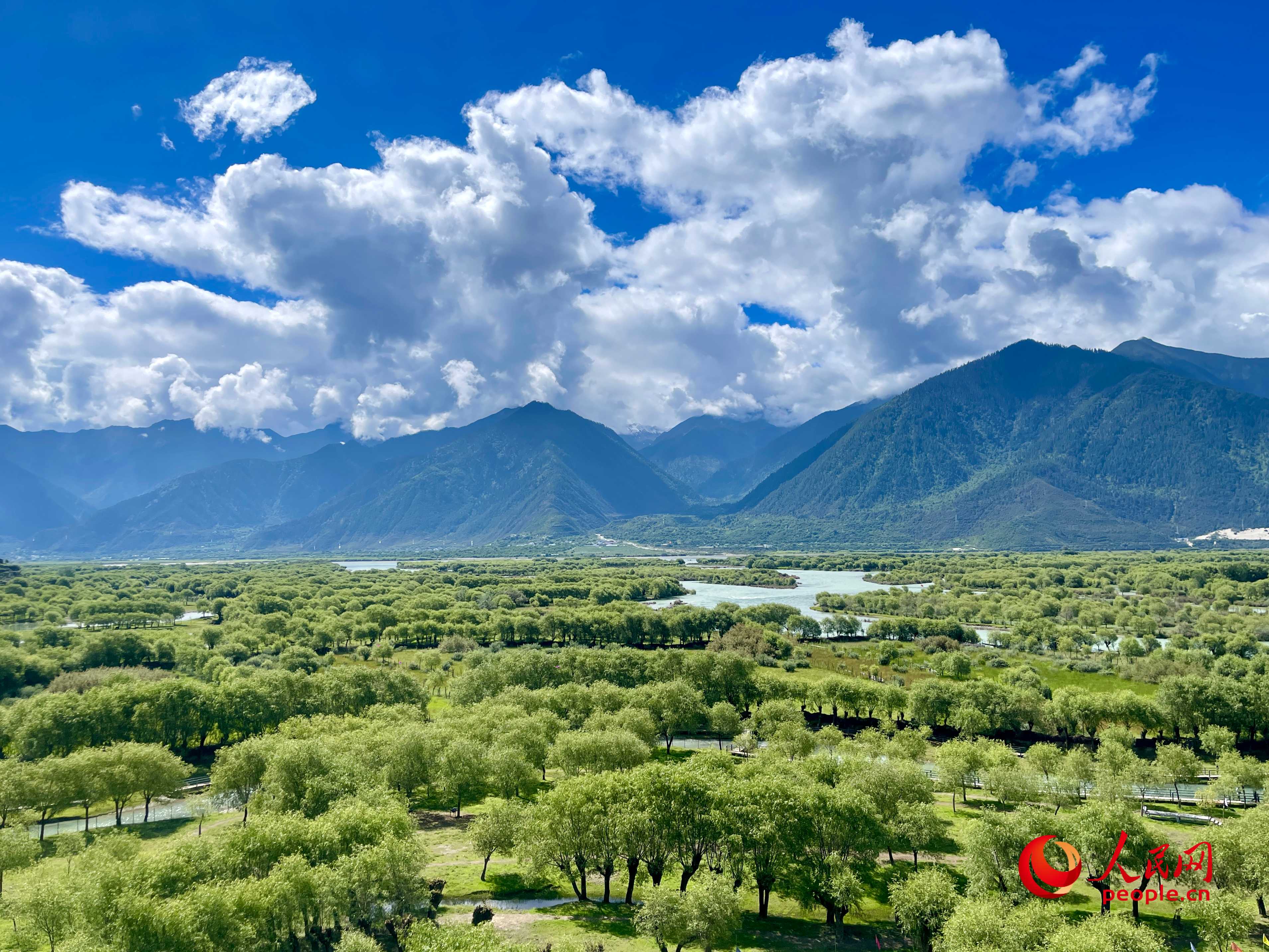 夏日的雅尼國(guó)家濕地公園生機(jī)盎然，如詩(shī)如畫(huà)。人民網(wǎng) 周靜圓攝