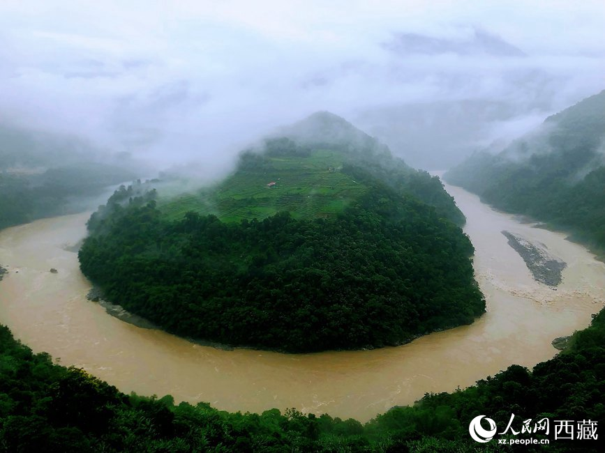 雅魯藏布江大峽谷蛇形拐彎處，山坡上種滿茶樹。