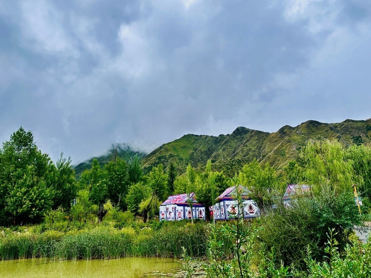 郁郁蔥蔥的南山公園。人民網(wǎng)記者 益西康珠攝