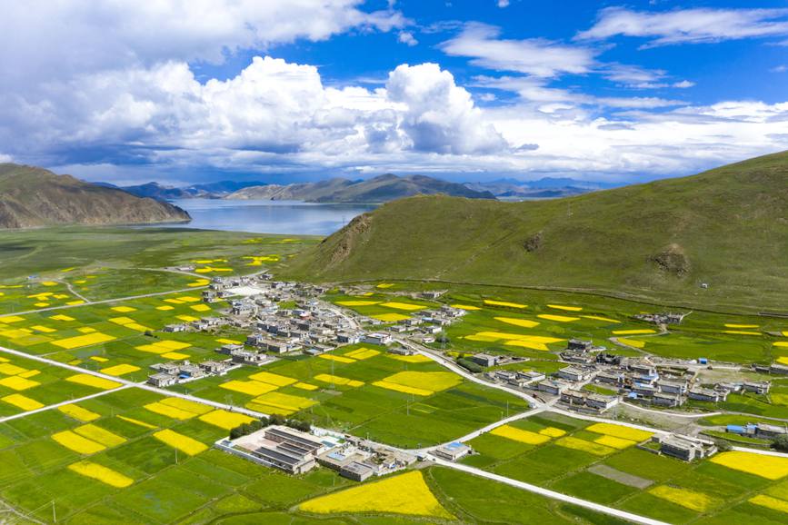 航拍道布龍村，依山傍水，阡陌縱橫。